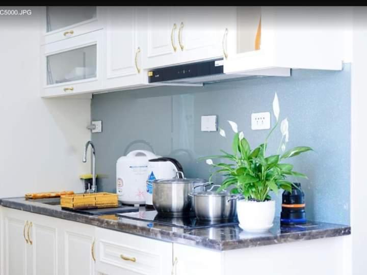 Homestay Ha Long Luxury المظهر الخارجي الصورة